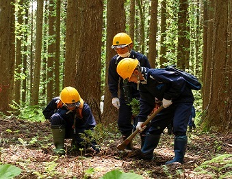一生懸命に植樹をしている中学生