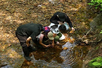 水棲生物の調査中