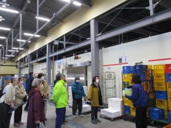 プラットホームの見学と説明